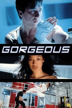 Gorgeous 1999 100mb Hindi Dual Audio movie Download - Movierulz