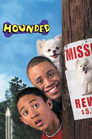 Hounded 2001 Hindi Dual Audio [1.1GB] - Movierulz